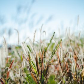 神戸ウェディング前撮り