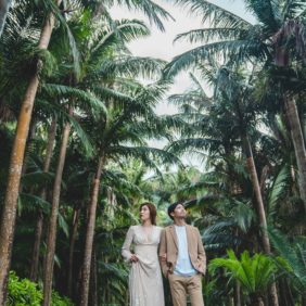 ウェディング - 離島