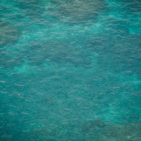 ウェディング - 離島